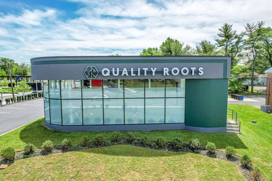Quality Roots